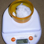 ましろは体重が増えました