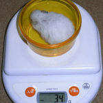 アイは体重が減少