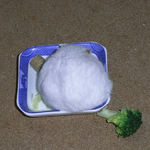 蕎麦の実を集めているましろ