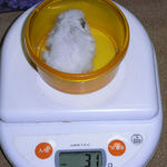 アイは体重変わらず