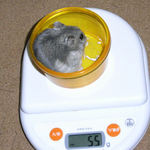 コーキは体重変わらず