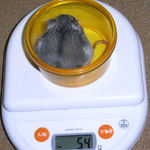 コーキは体重変わらず