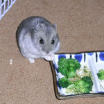 カメラ目線なコーキ