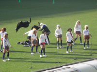 ジェフィチーム AKB48 準備中