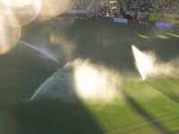 散水をおこなうフクアリ