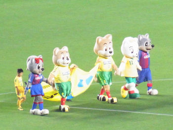 フェアプレーフラッグ