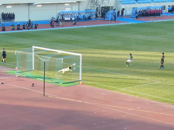 青森山田がPK勝ち